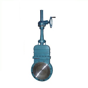 DMZ573 bevel gear dark rod type gate valve